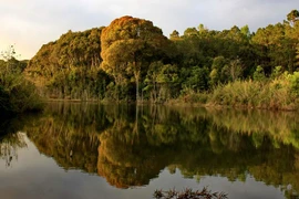 Parque Nacional de Chu Mom Ray, potencial destino turístico en Vietnam