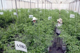 Hau Giang fomenta cooperación agrícola con asociación sudcoreana