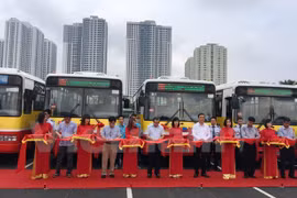 Hidrobús entra en servicio a partir de julio en Ciudad Ho Chi Minh