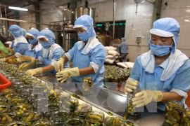 Exportaciones de productos agrícolas, silvícolas y acuáticos de Vietnam marca nuevo récord