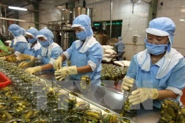 Exportaciones de productos agrícolas, silvícolas y acuáticos de Vietnam marca nuevo récord