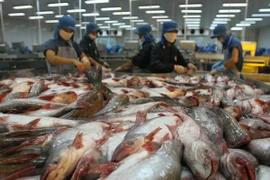  Premier exhorta a resolver dificultades de ventas de pescado Tra a EE.UU.