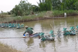 Vietnam acelera la modernización de nuevas zonas rurales