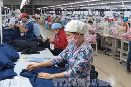 Provincia vietnamita registra duplicación de capital social de nuevas empresas