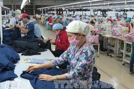 Provincia vietnamita registra duplicación de capital social de nuevas empresas