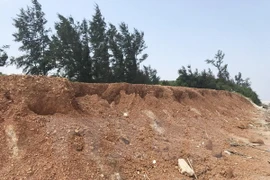 Provincia vietnamita de Ninh Thuan realiza labores de forestación con apoyo japonés 