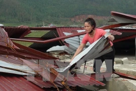 Vietnam brinda asistencia a víctimas del tifón Doksuri