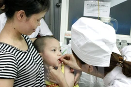 Dieta desequilibrada provoca carencia de micronutrientes en vietnamitas 