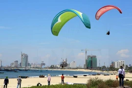 Vietnam desarrolla el turismo en Internet