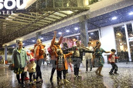 Ciudad vietnamita de Da Nang albergará a gran número de turistas en Año Nuevo