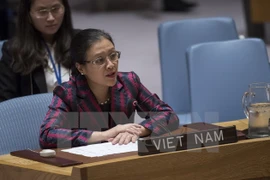 Vietnam interviene en plenario de Asamblea General de ONU relativo a océanos y derecho del mar