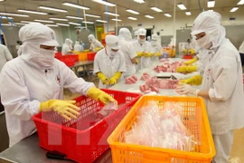 Empresas de Vietnam ante riesgos en comercio internacional