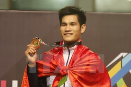 Aumenta Vietnam cosecha dorada en SEA Games 29