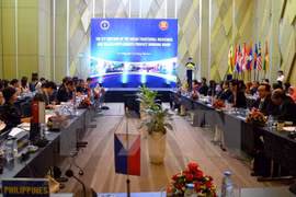 Efectúan reunión sobre medicina tradicional y alimentos funcionales en ASEAN