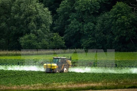 Ciudad Ho Chi Minh moviliza contribución de vietnamitas en ultramar a desarrollo de agricultura de alta tecnología