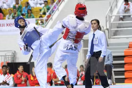 Taekwondistas vietnamitas ganan tres medallas de oro en campeonato mundial