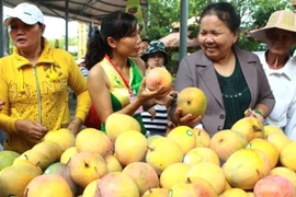 China intensifica importación de productos agrícolas vietnamitas