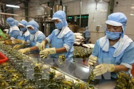 Recomiendan a empresas vietnamitas revisar códigos de negocios en EE.UU.