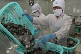 Japón, mayor importador de camarones de Vietnam 