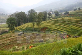 Inaugurarán Festival veraniego en pueblo vietnamita de Sapa