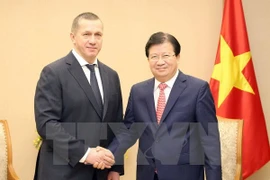 Grupos vietnamitas con grandes oportunidades para impulsar inversiones en Rusia