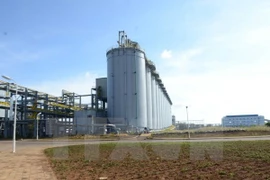 Fábrica vietnamita exporta primeros lotes del hidróxido de aluminio al exterior