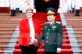 Cooperación en seguridad entre Vietnam y Australia se fortalece, afirma experto