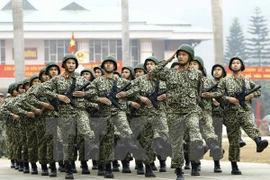 Continúan actividades de Vietnam en marco de exposición Langkawi en Malasia 