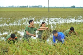 Vietnam se esfuerza por elevar número de nuevas zonas rurales
