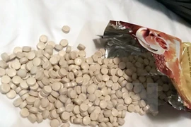 Policía de Thanh Hoa arresta a un narcotraficante con mil 200 pastillas de drogas sintéticas