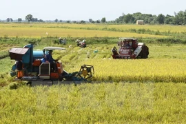 Australia busca cooperación en agricultura de alta tecnología con el Delta de Mekong