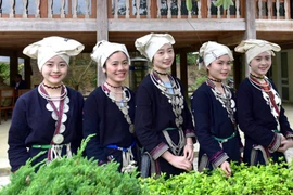 Celebran en Tuyen Quang Festival de la cultura étnica Dao 
