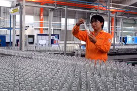 Realizan exitosamente subasta de acciones de compañía vietnamita SABECO
