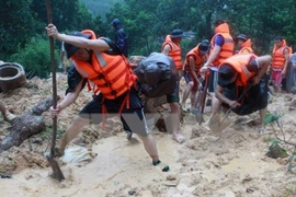 Nghe An acogerá XI Reunión del APEC sobre Gestión de Desastres Naturales