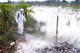 Vietnam se blinda ante la propagación de gripe aviar en países vecinos