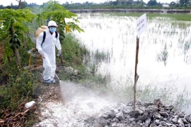 Vietnam se blinda ante la propagación de gripe aviar en países vecinos