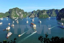  Estrechan control de servicios turísticos en Bahía Ha Long