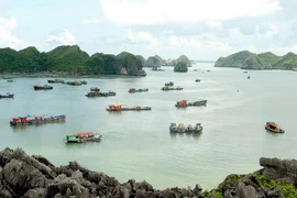 Ciudad vietnamita inicia primera fase de complejo eco-turístico