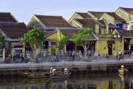 Varias actividades en saludo al Año Nuevo en provincias centrovietnamitas