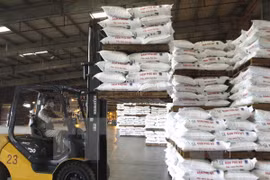 Vietnam aplicará salvaguardias provisionales para abonos DAP y MAP