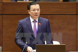 Ministro vietnamita de Planificación e Inversión comparece ante Parlamento