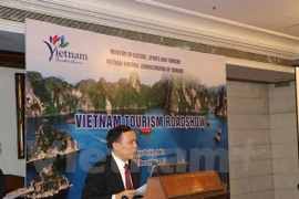Vietnam promueve el turismo en India
