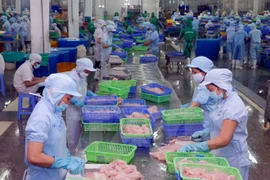 Vietnam traza meta de lograr nueve millones de dólares por exportación acuícola