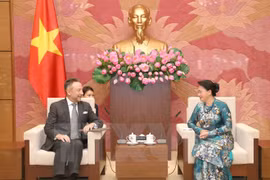 República Checa: prioridad de Vietnam en nexos con Europa Central y Oriental