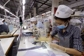 Número de nuevas empresas en Vietnam registra alto aumento