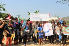 Vietnam efectuará numerosas actividades para impulsar la protección ambiental