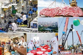 Vietnam afronta obstáculos para alcanzar objetivo de crecimiento económico