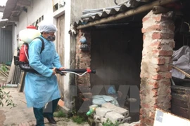 Registran disminución de casos de dengue en Vietnam