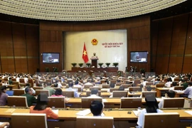 Asamblea Nacional de Vietnam continúa interpelación sobre asuntos agrícolas