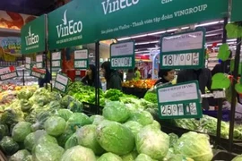 Respaldan a campesinos vietnamitas en producción agrícola limpia